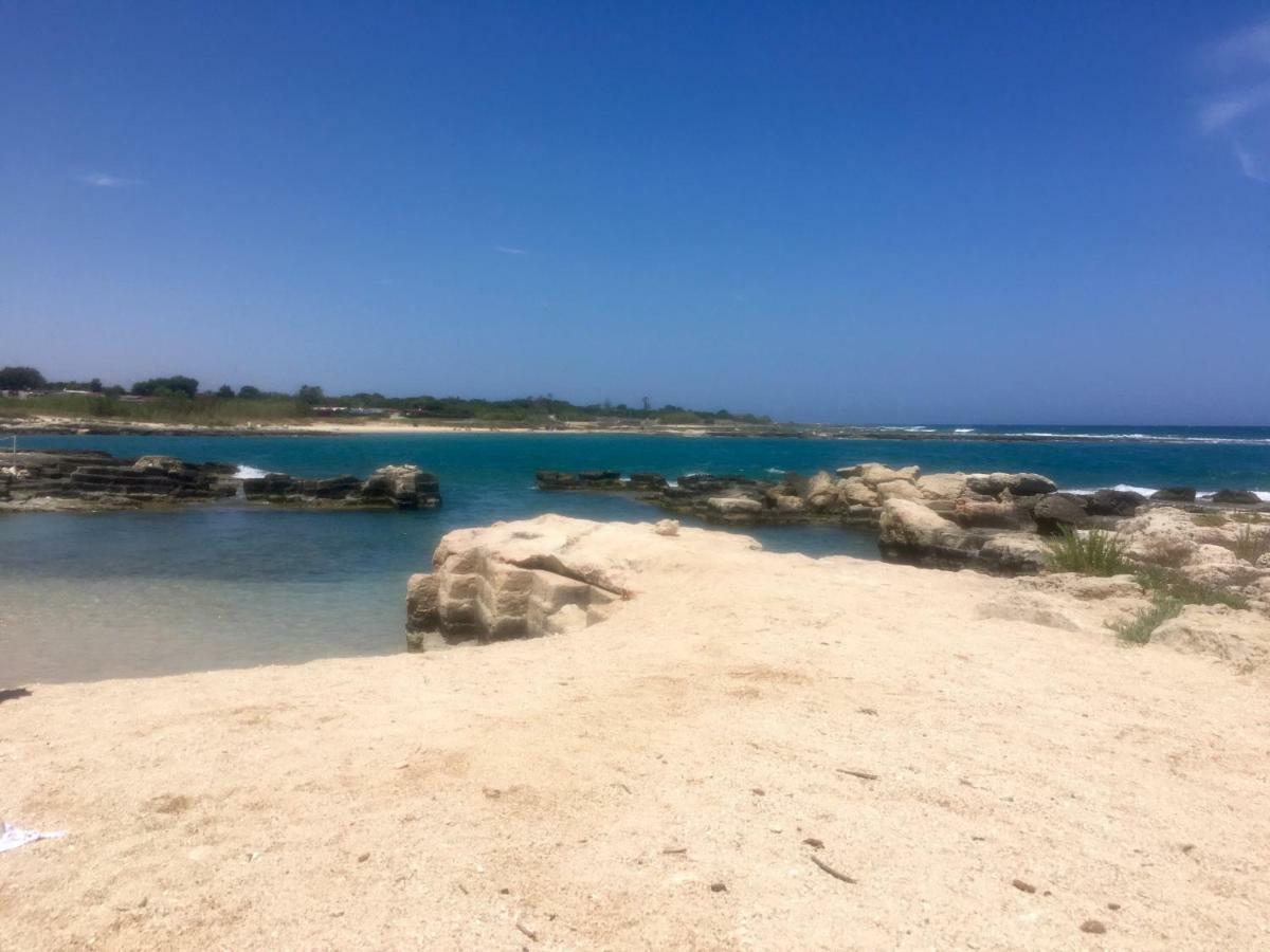Almarea Blu - Appartamento In Villa Vicino Al Mare - Affitto Breve Polignano a Mare Exterior foto